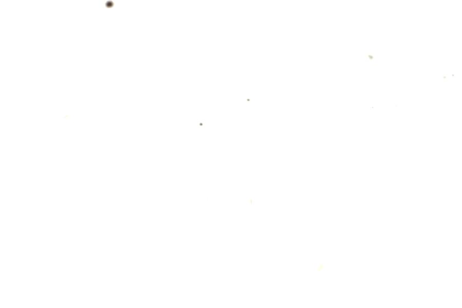 Image 210